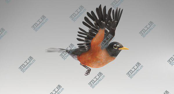 images/goods_img/20210312/3D Robin Animated/3.jpg